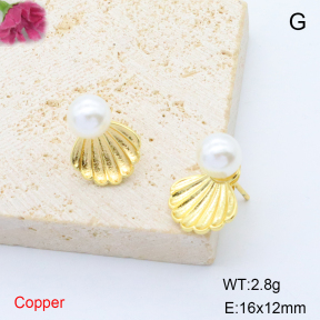 F6E302021baka-L017  Stainless Steel Earrings