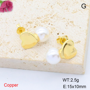 F6E302022baka-L017  Stainless Steel Earrings