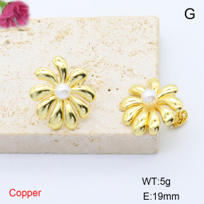 F6E302023baka-L017  Stainless Steel Earrings