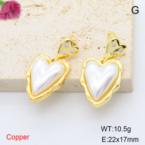 F6E302024vbmb-L017  Stainless Steel Earrings