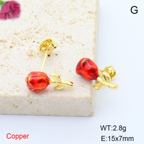 F6E302025baka-L017  Stainless Steel Earrings
