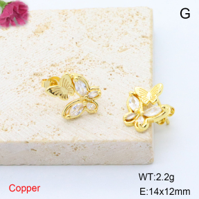 F6E405670ablb-L017  Stainless Steel Earrings