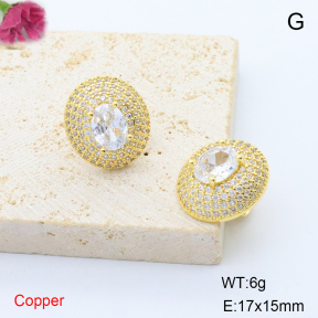 F6E405671bbov-L017  Stainless Steel Earrings