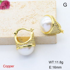 F6E405672bbov-L017  Stainless Steel Earrings
