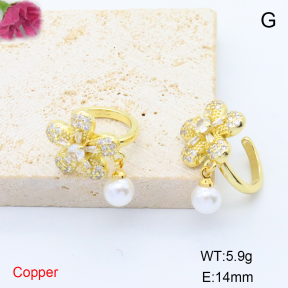 F6E405675vbnb-L017  Stainless Steel Earrings
