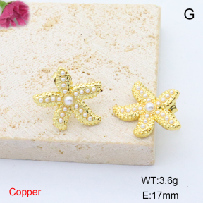 F6E405676vbnb-L017  Stainless Steel Earrings