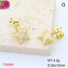 F6E405677vbmb-L017  Stainless Steel Earrings