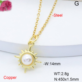 F6N301465vaia-L017  Stainless Steel Necklace