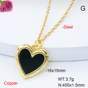 F6N301469vail-L017  Stainless Steel Necklace