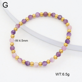2B4004856bbov-350  Stainless Steel Bracelet