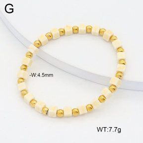 2B4004865abol-350  Stainless Steel Bracelet
