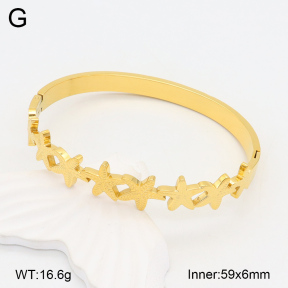 2BA202062bvpl-434  Stainless Steel Bangle