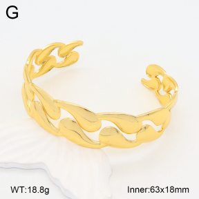 2BA202064vbnl-434  Stainless Steel Bangle