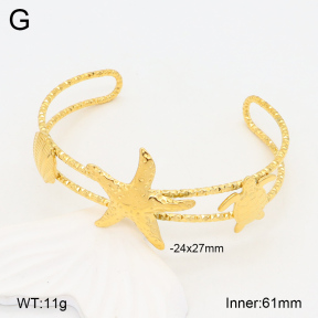 2BA202066bhia-434  Stainless Steel Bangle