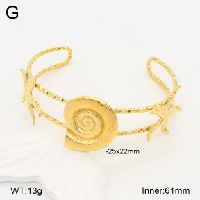 2BA202067bhia-434  Stainless Steel Bangle
