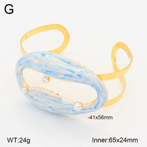 2BA300479vhkb-434  Stainless Steel Bangle