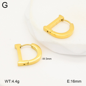 2E2005982vbnb-669  Stainless Steel Earrings