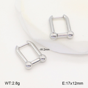 2E2005984vbmb-669  Stainless Steel Earrings