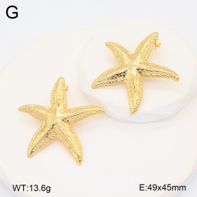2E2005988vbll-434  Stainless Steel Earrings