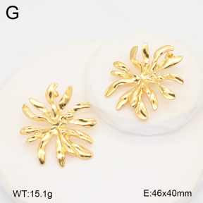 2E2005989vbll-434  Stainless Steel Earrings