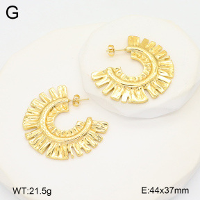 2E2005991ablb-434  Stainless Steel Earrings