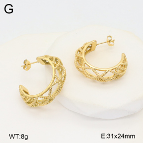 2E2005992vbll-434  Stainless Steel Earrings