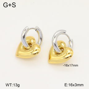 2E2005994ablb-434  Stainless Steel Earrings