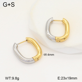 2E2005995vbmb-434  Stainless Steel Earrings