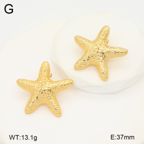 2E2005996ablb-434  Stainless Steel Earrings