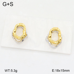 2E2005997vbll-434  Stainless Steel Earrings