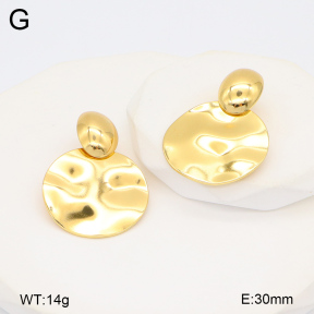2E2006000vbmb-434  Stainless Steel Earrings