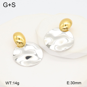 2E2006001vbmb-434  Stainless Steel Earrings