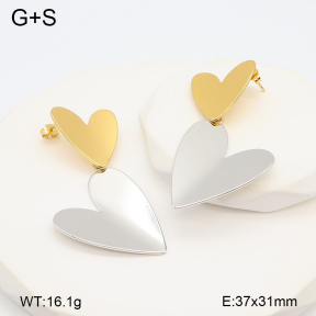 2E2006003vbmb-434  Stainless Steel Earrings