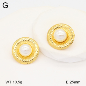 2E3003466ablb-434  Stainless Steel Earrings