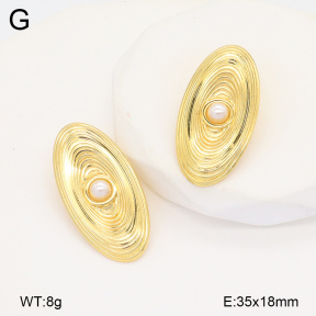 2E3003467vbll-434  Stainless Steel Earrings
