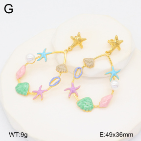 2E3003468bhia-434  Stainless Steel Earrings