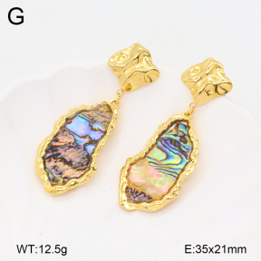 2E3003469bhia-434  Stainless Steel Earrings