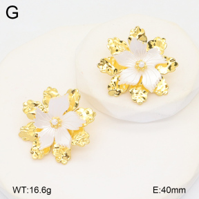 2E3003471vhhl-434  Stainless Steel Earrings