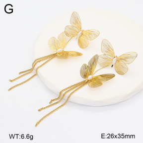 2E3003472vhha-434  Stainless Steel Earrings