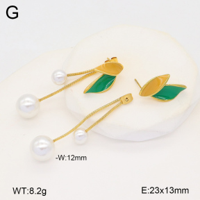 2E3003473vhha-434  Stainless Steel Earrings