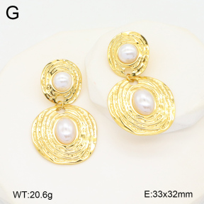 2E3003474vbll-434  Stainless Steel Earrings