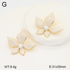 2E3003475ablb-434  Stainless Steel Earrings