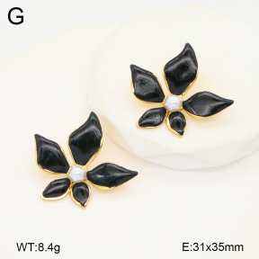 2E3003476ablb-434  Stainless Steel Earrings