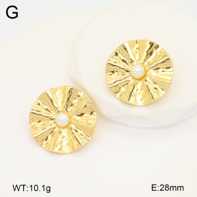 2E3003477aakl-434  Stainless Steel Earrings