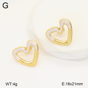 2E3003479aakl-434  Stainless Steel Earrings