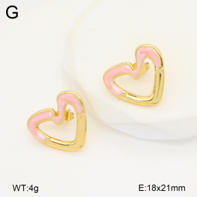 2E3003480aakl-434  Stainless Steel Earrings