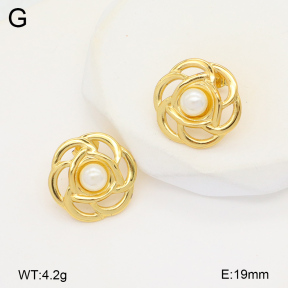 2E3003481aakl-434  Stainless Steel Earrings