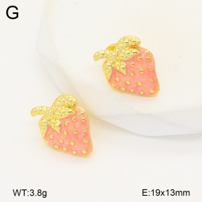 2E3003482vbll-434  Stainless Steel Earrings