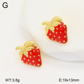 2E3003483vbll-434  Stainless Steel Earrings