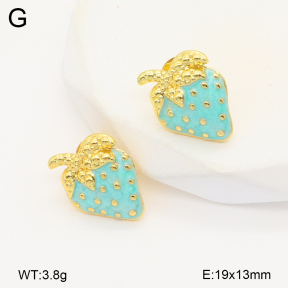 2E3003484vbll-434  Stainless Steel Earrings